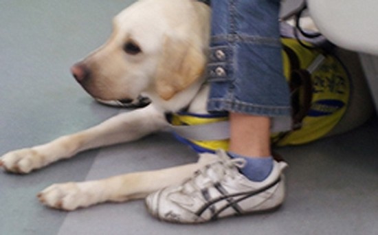 ▲ 사진=인터넷 이미지 캡쳐.