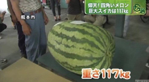 ▲ 사진=인터넷 이미지 캡쳐.