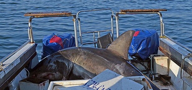 ▲ ⓒ  홈페이지 캡쳐.