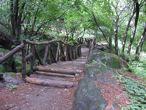 ▲ 산림욕을 하면 살균, 살충성분이 있는 피톤치드를 마실 수 있으며, 신선한 공기가 피부에 닿아 몸과 마음이 맑아지면서 안정을 찾는다. 축령산자연휴양림의 산책로. ⓒ 경기도