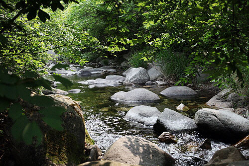 ▲ 사나사계곡은 계곡 폭이 넓고 물이 맑으며 수량이 풍부해 여름철 피서지로 많은 사람들이 찾는 곳이다. ⓒ 경기도