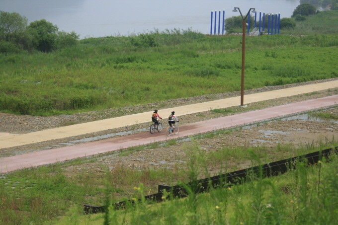 ▲ 행복1지구 자전거도로에서는 다양한 수변식물이 자라는 것을 볼 수 있다.ⓒ