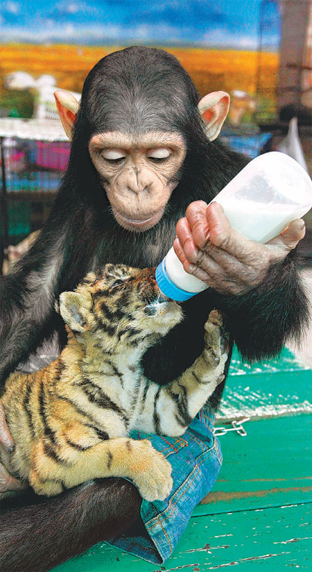 ▲ 사진 출처 : 영국 BBC방송