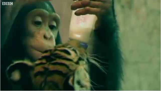 ▲ 사진 출처 : 영국 BBC방송