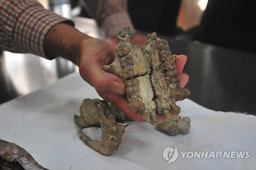 ▲ 두개골ⓒ연합뉴스