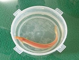 ▲ 사진 = 함양군 서하면사무소.