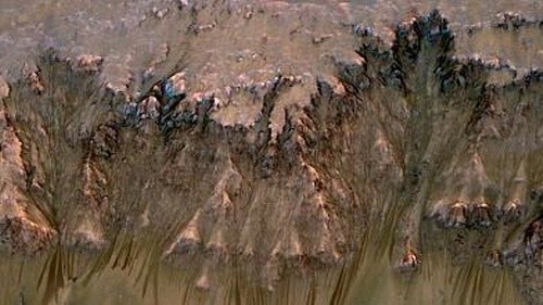 ▲ 화성 궤도 탐사선 MRO가 전송한 영상을 3D 모델로 합성한 모습. 화성의 뉴튼 크레이터 안쪽 경사면에서 봄 여름에 나타나는 액체의 흐름을 보여준다. 아래쪽의 검은 줄들이 그 흔적이다. 사진 제공 NASA