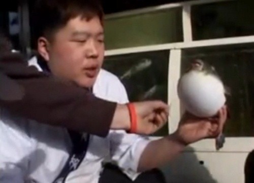 ▲ 사진 = 해당 동영상 캡쳐.