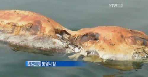 ▲ 사진 = YTN 캡쳐.