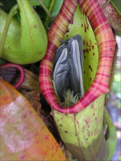 ▲ 사진 = bbc.co.uk 캡쳐.