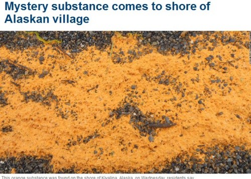 ▲ 사진 = CNN 캡쳐.