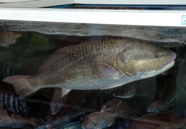 ▲ 사진 = 연합뉴스.