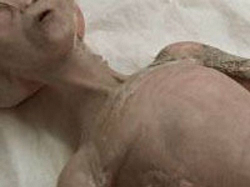 ▲ 외계인 사체. ⓒpravda.ru