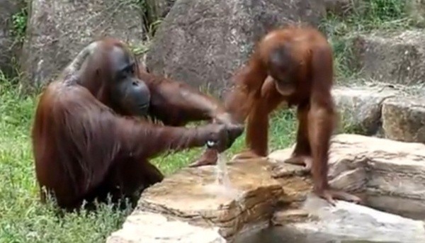 ▲ 사진 = 해당 동영상 캡쳐.