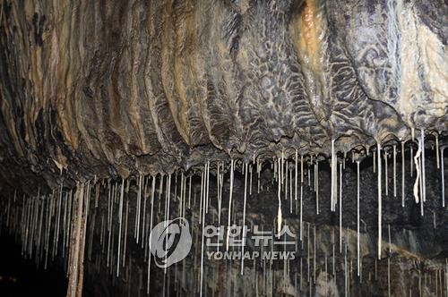 ▲ 나무뿌리 모양의 종유석ⓒ