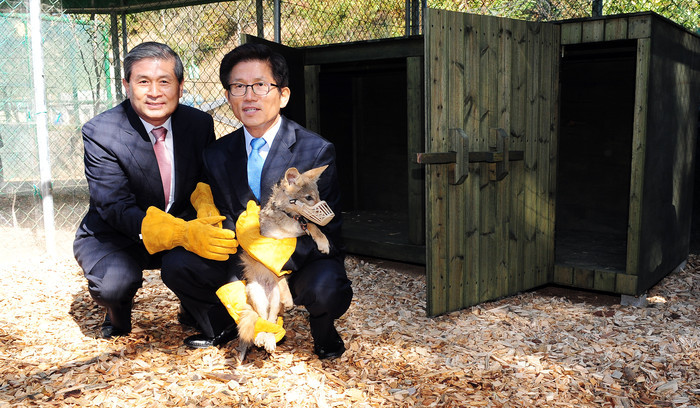 ▲ 17일 오전 경기도 평택시 진위면 경기도 축산위생연구소 야생동물구조센터에서 김문수 경기도지사와 황우석 수암생명공학연구원 책임연구원이 세계 최초로 복제를 성공한 코요테를 방사장에 풀어주고 있다. ⓒ 뉴데일리