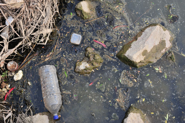 ▲ 광주 북구 동림동의 영산강 과거 모습. 보기 역겨울 정도로 오염돼 있다.ⓒ뉴데일리 편집국