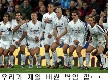 ▲ 일명 '세상에서 가장 비싼 벽'이 화제가 되고 있다. ⓒ 사진= 온라인 커뮤니티