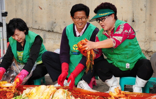 ▲ 김문수 경기도지사가 9일 오후 남양주 새마을회관에서 홀몸노인에게 전달할 김장을 담그고 있다. ⓒ 뉴데일리