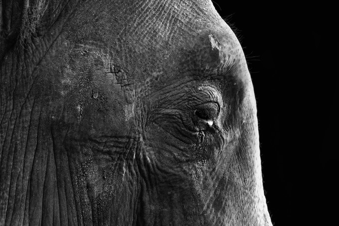 ▲ 경일대학교 이종현 