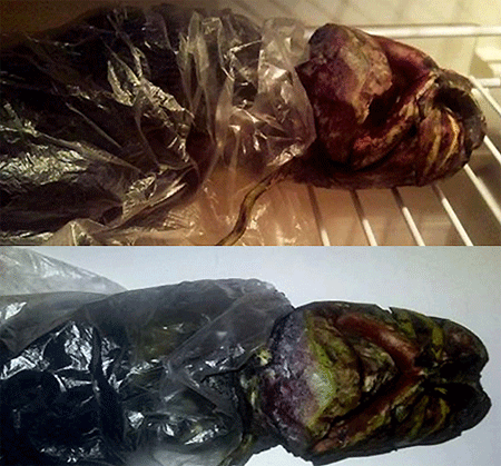 ▲ 냉동 외계인 사체 논란이 일고 있다. ⓒ 유투브 동영상 캡쳐