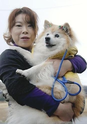 ▲ 세계 최장수 개 '푸스케'가 사망했다. ⓒ 요미우리신문 캡쳐