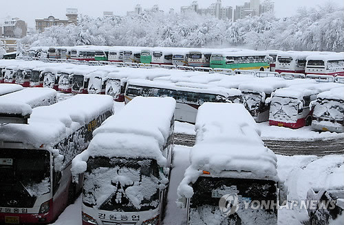 ▲ 폭설에 운행 멈춘 터미널의 버스들(강릉=연합뉴스)9일 강원 강릉지역에 40㎝가 넘는 폭설이 내리면서 일부 고갯길의 차량 운행이 통제되고 있는 가운데 강릉 고속ㆍ시외버스터미널에는 운행을 포기한 차량들이 눈 속에 묻혀 있다.ⓒ