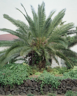 ▲ No Direction Home-김옥선ⓒ한미사진미술관