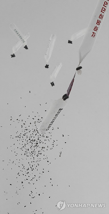 ▲ 북한 김정일 장례식이 열리는 28일 임진각 망배단에서 탈북단체들이 날린 대북전단이 북한으로 날아가고 있다. ⓒ 연합뉴스