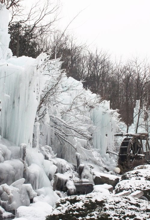 ▲ "얼음동산 멋져요" (영동=연합뉴스) 충북 영동군 용산면의 한 음식점 앞에 아름다운 얼음동산이 만들어져 장관이다. 이 집 주인은 지난달부터 스프링클러로 물을 뿌려 이 작품을 만들었다. 2012.1.4ⓒ