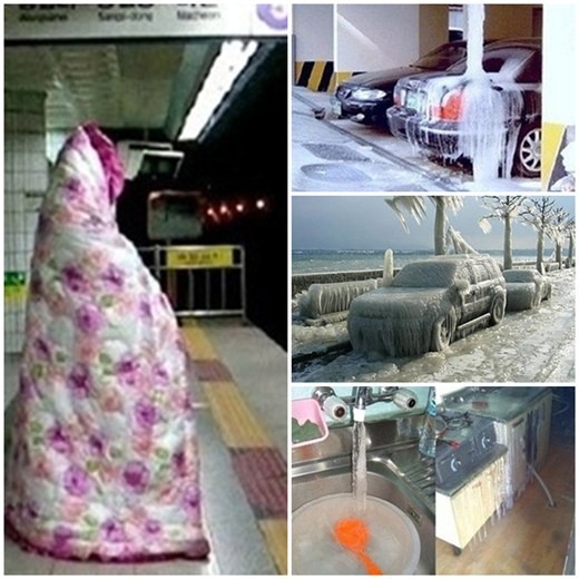 ▲ 일명 '얼마나 추웠으면'이라는 사진이 큰 인기를 끌고 있다.  ⓒ 온라인 커뮤니티