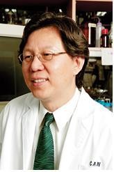 ▲ 김성훈 서울대 교수.ⓒ