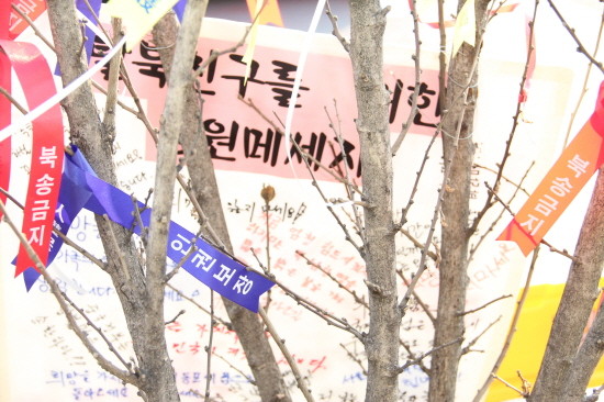 ▲ 22일 서울 중국대사관 맞은편 나무에 '탈북친구를 위한 응원메시지'가 걸려있다. ⓒ 뉴데일리