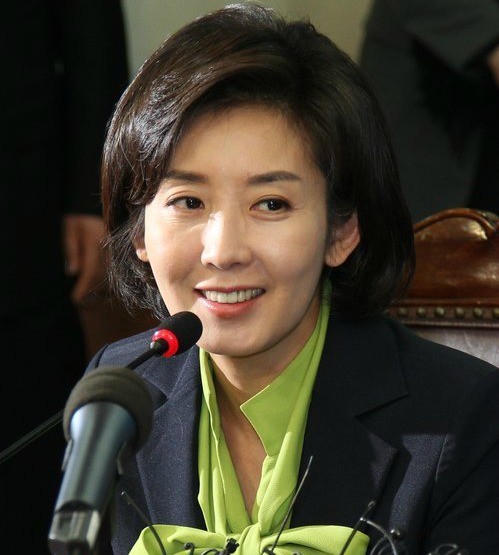 ▲ 새누리당 나경원 전 의원 ⓒ연합뉴스