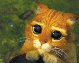 ▲ 에 등장하는 '장화 신은 고양이'