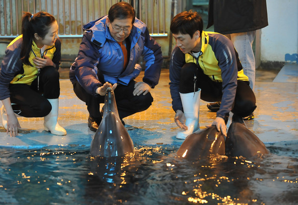 ▲ 12일 오전 서울대공원을 찾은 박원순 서울시장이 돌고래들과 인사를 나누고 있다.ⓒ