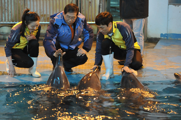 ▲ 12일 오전 박원순 서울시장이 조련사들과 함께 돌고래들을 만나고 있다.ⓒ