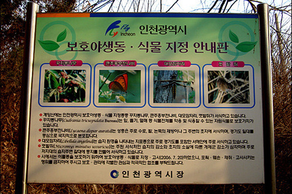 ▲ 인천시가 계양산 어귀에 세운 입간판. 계양산은 인천시민들에게 소중한 쉼터이자 허파역할을 하고 있다. 200만 명의 허파를 몇백명을 위해 허물어뜨리는 게 정상일까.