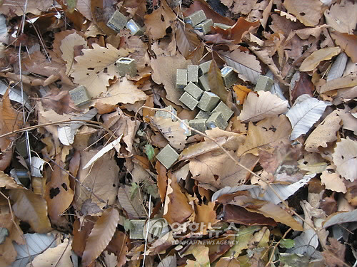 ▲ 서울시가 살포한 광견병 예방용 미끼.ⓒ 사진 연합뉴스