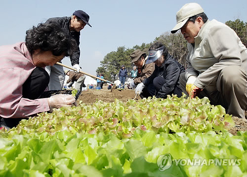 ▲ 서울시가 무료로 운영 중인 실버농장.ⓒ 사진 연합뉴스