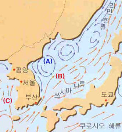▲ 한반도 주변의 해류도. 동해는 특히 수심이 깊고 난류와 한류가 만나는 지역이라 잠수함을 탐지하기 어렵다.