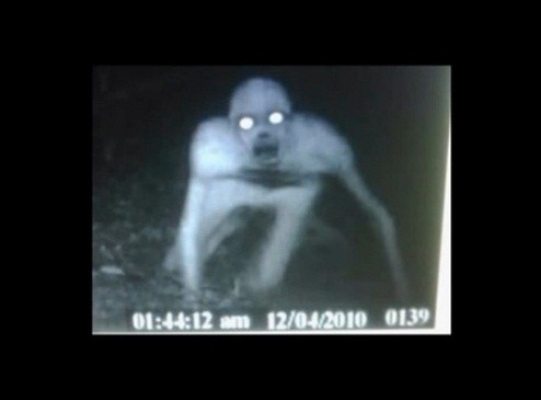 NHK 방송 영상을 편집한 네티즌은 얼마 전 美 루이지애나에서 찍힌 괴생명체(사진)가 쓰나미 현장에서 포착된 흰 물체와 동일한 것일 수도 있다는 추측을 제기했다.