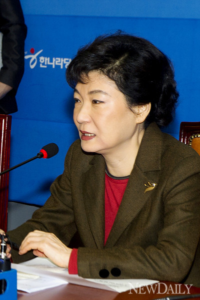 ▲ 박근혜 새누리당 비상대책위원장은 13일 북한의 장거리 로켓 발사에 대해 