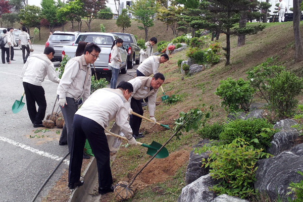 ▲ 평택공장 주변에 나무를 심고 있는 쌍용차 임직원들.