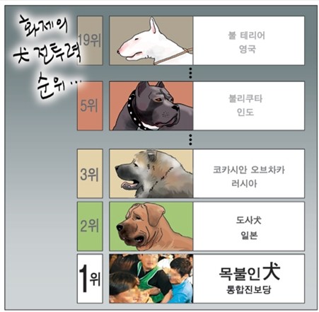 ▲ 네이버 블로그 lmwan0047