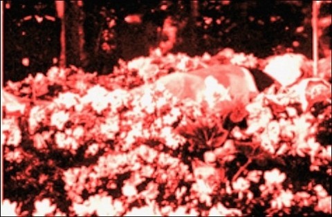 ▲ 미이라도 대를 잇는다. 1대 미이라로 방부처리된 김일성 사체ⓒ