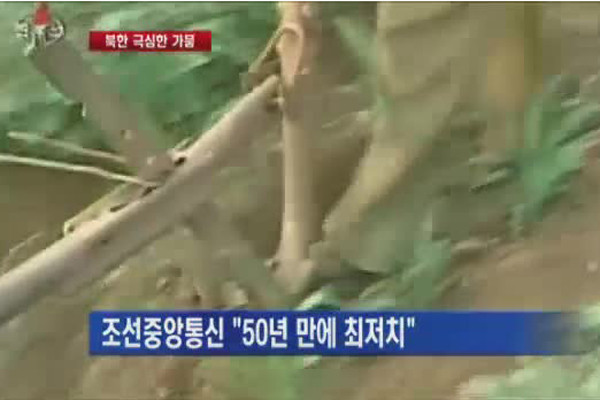 ▲ 조선중앙통신의 북한 가뭄 보도 자료화면. 최근 북한의 가뭄은 5~60년 만에 온 것이라고 한다.