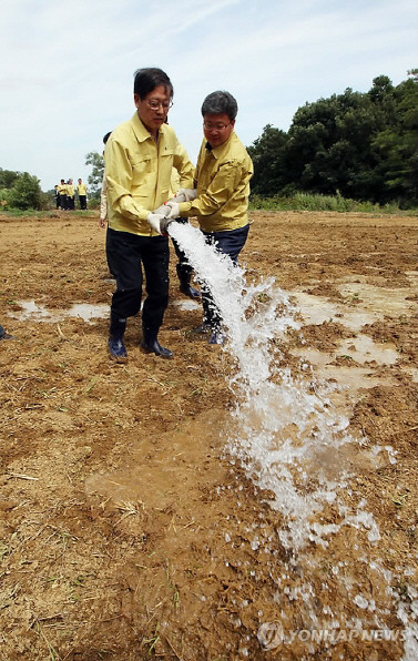 ▲ 김황식 국무총리가 26일 오전 경기도 화성시 시동 가뭄 현장을 방문, 논에 물대기 작업을 하고 있다. ⓒ 연합뉴스