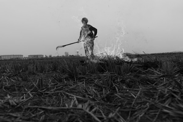 ▲ 2012 동강국제사진제 수상자 노순택 '얄읏한 공'ⓒ동강국제사진제