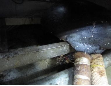 ▲ ⓒ불결한 조리기구들.